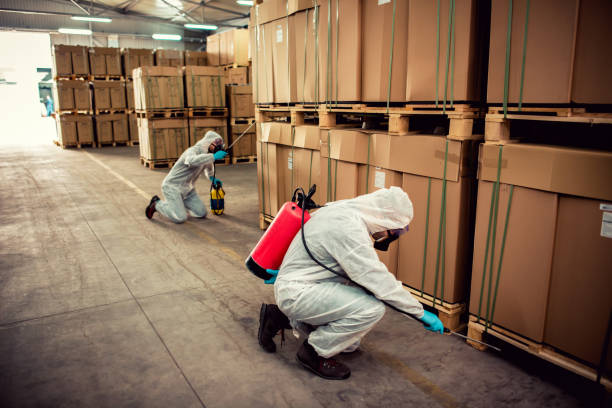 Best Flea Control Services  in Silver Springs, NV