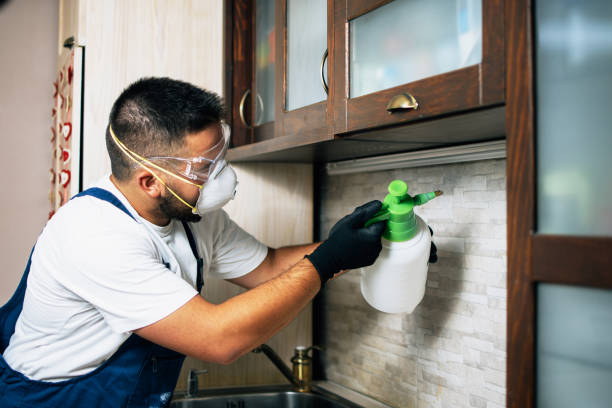 Best Pest Inspection Near Me  in Silver Springs, NV