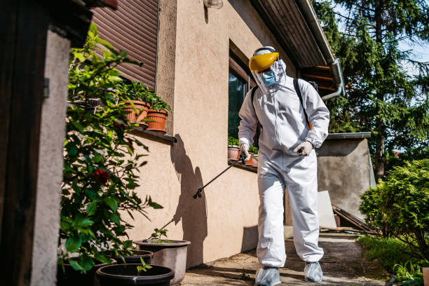 Best Affordable Pest Control Services  in Silver Springs, NV