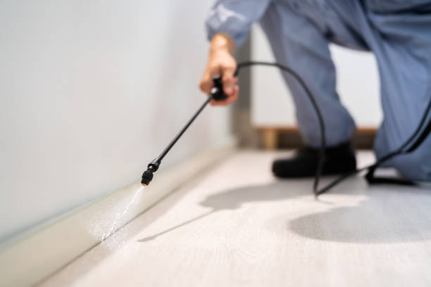 Best Local Pest Control Services  in Silver Springs, NV