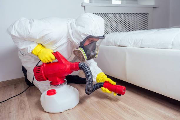 Best Pest Inspection Near Me  in Silver Springs, NV