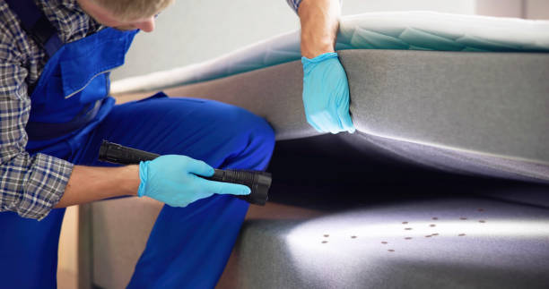 Best Pest Control for Businesses  in Silver Springs, NV