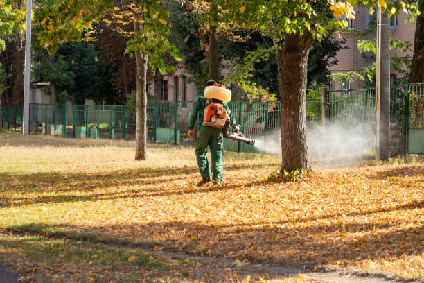 Silver Springs, NV Pest Control Company