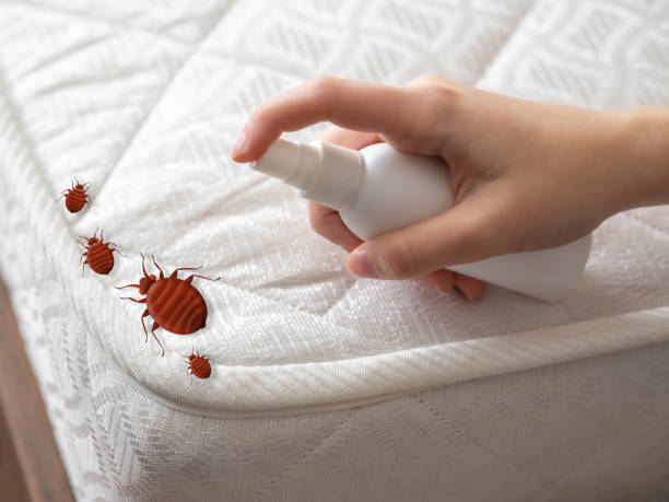 Best Pest Control for Homes  in Silver Springs, NV