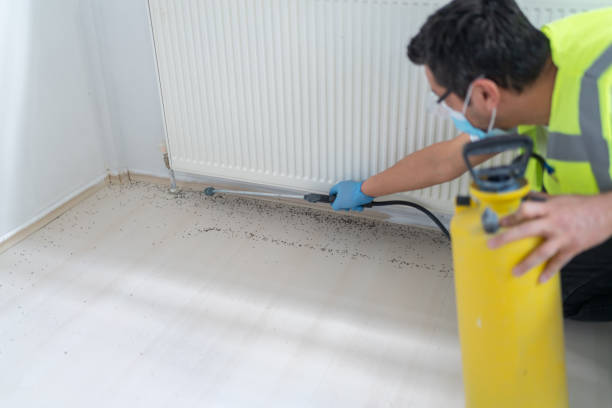 Best Pest Removal Services  in Silver Springs, NV