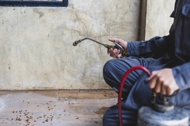 Best Residential Pest Control  in Silver Springs, NV