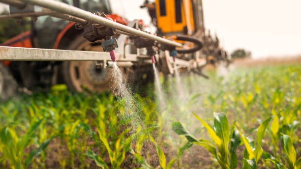 Best Mosquito Control Services  in Silver Springs, NV